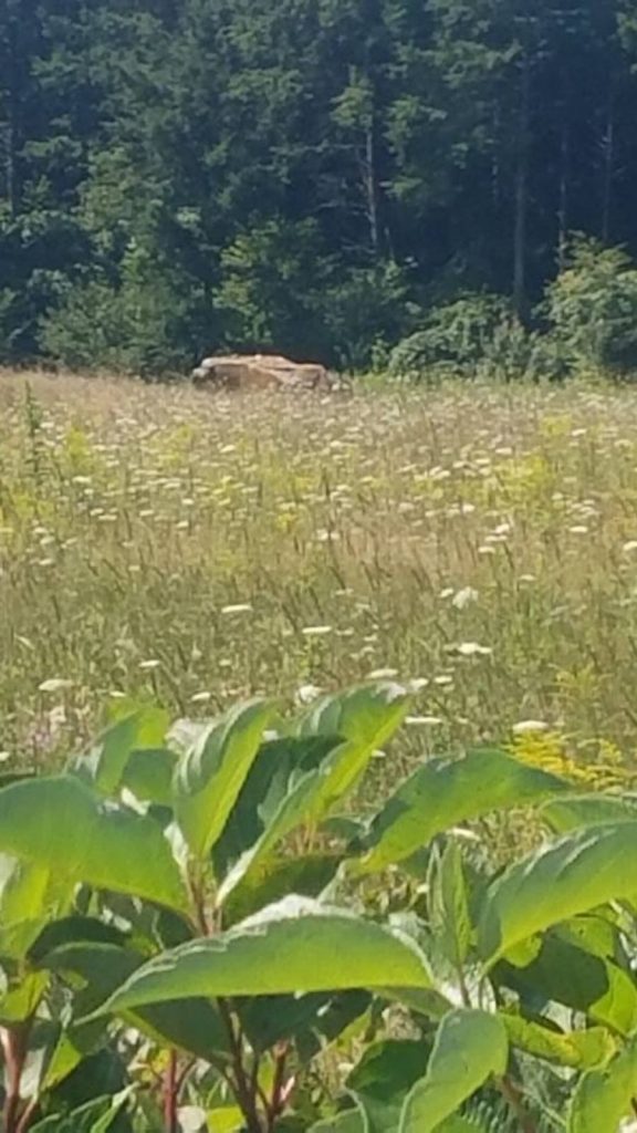 Boulder In The Field Where Flight 93 Crashed